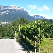 30kalterSee-Trento-Caldonazzo